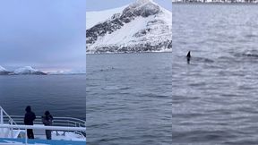 le lendemain debout a 6h alors que nous nous etions couches a 2h30 pour ...