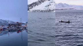 le lendemain debout a 6h alors que nous nous etions couches a 2h30 pour ...