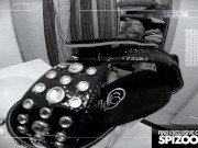 Bubble Butt Daisy Monroe fucked by a big dick - Spizoo