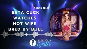 Beta Cuck Watches Hot Wife Bred By Alpha Audio