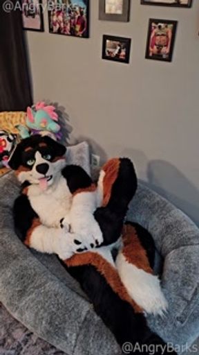 @AngryBarks from the Vet's office teaches your how to milk your puppy boyfriend 👨‍🔬💦