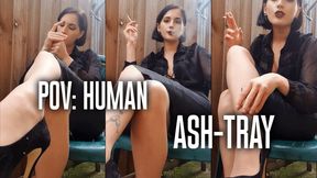 DEGRADING my human ASH TRAY