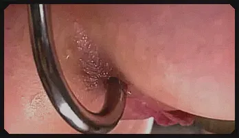 Master James Mogul’s Intense BDSM Anal Threesome