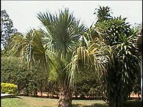 Sexy studs fuck ass and suck cocks before creaming face