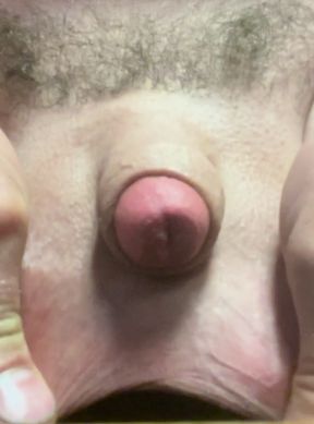 Tiny cock peekaboo