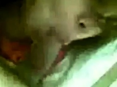 Melayu - Arsenal Fan