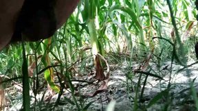 Handjob in Outdoor and Cumshot on Leaf, Big Cock