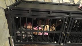 The Maya 72h Challenge - Maya Homerton - The ultimate Bondage Session - Chapter 45 - Cage Time - Full Clip wmv HD