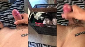 me masturbando gostoso cheio de tesao na pica doido pra gozar