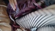 Me crossdressing to get fucked