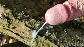 Spring sperm in nature