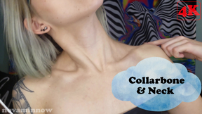 collarbone &amp; neck (4K)