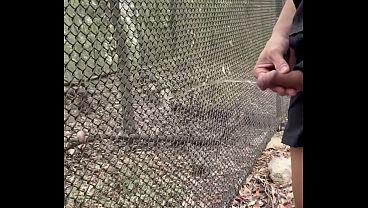 Flash Splash On Fences