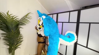 FURRIES IN HEAT MATING , CUM INSIDE