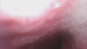 Return To Baileys Stomach