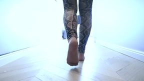 Khaleesi - Serving Under Hoot Feet - 4096x2304 - 4K