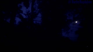 Werewolf Hunts You POV