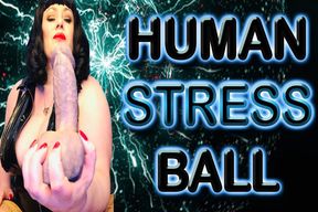 HUMAN STRESS BALL