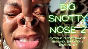 Big Snotty Nose 2 - Extreme Close Up Piggy Nose, Sneezing, Nose Blowing, and Snot Fetish with Temptress Mango