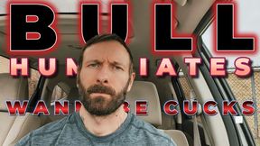 Bull Humiliates Wannabe Cucks