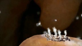 Adam devours the apple planet