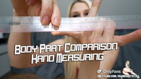 Size Comparison Hand Measuring with Ruler - 4K MP4 2160p UltraHD