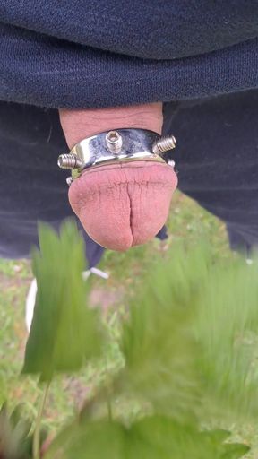 Nettles for my cuckold limp penis