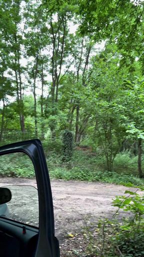 Break in the woods