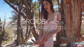 ”GROOBY: Weekly Roundup, 22nd Aug”