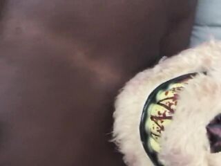 WICKED BEAR BEATS LARGE EBONY PENIS