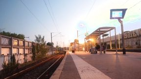 ”Miss Alice Wild tames the pack...”