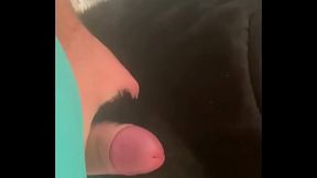 Caged & Collared in Black Downjacket – Blowjob &mdash;  Doggy & Cum Finish