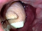 Meerkat toy lounging in my guts