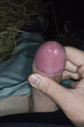 Cum In The Hay In Public