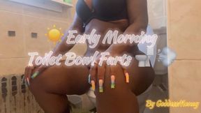 Early morning toilet bowel farts