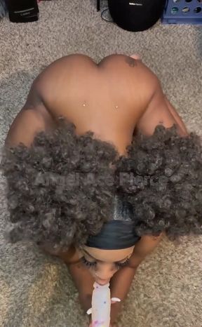 Your New Favorite View