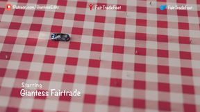 Giantess Fair Trade – Picnic With Power (Part 1)