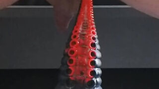 Video di ragazze single di prostitute gay europee formose che si fanno scopare analmente