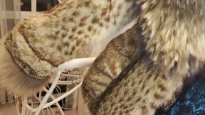 Goddess in Furs, Toilet Slavery