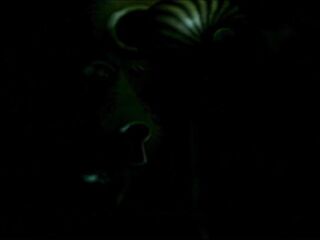 Let&#039;s Play Luigi&#039;s Mansion Clip 1 Part 1/two (Old Series)