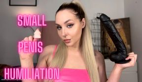 SPH - small dick vs BBC