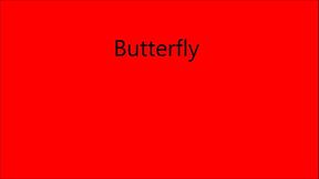 butterfly 1.0