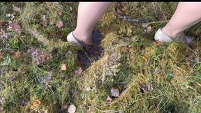 Finding the boundry plot