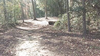 Thick ebony cock buried deep in the woods hiking