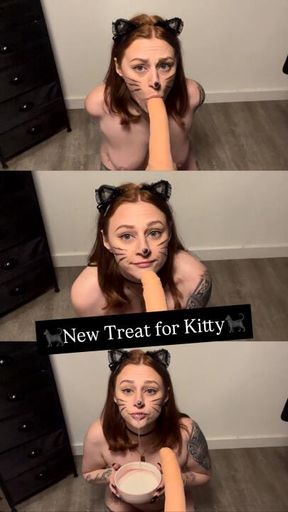 New Treat for Kitty