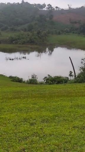 Memorable moment from "lovelypinay nature lover."