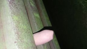fucking the bank in the Park at night