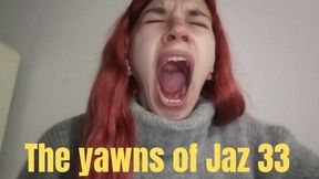 The yawns of Jaz 33