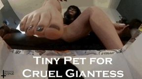 Tiny Pet for Cruel Giantess HD