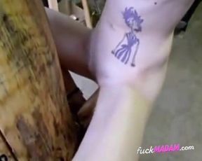 Woody Woodpecker's Private Show